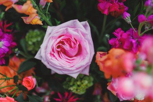 mobile - carousel-hero-element image-4