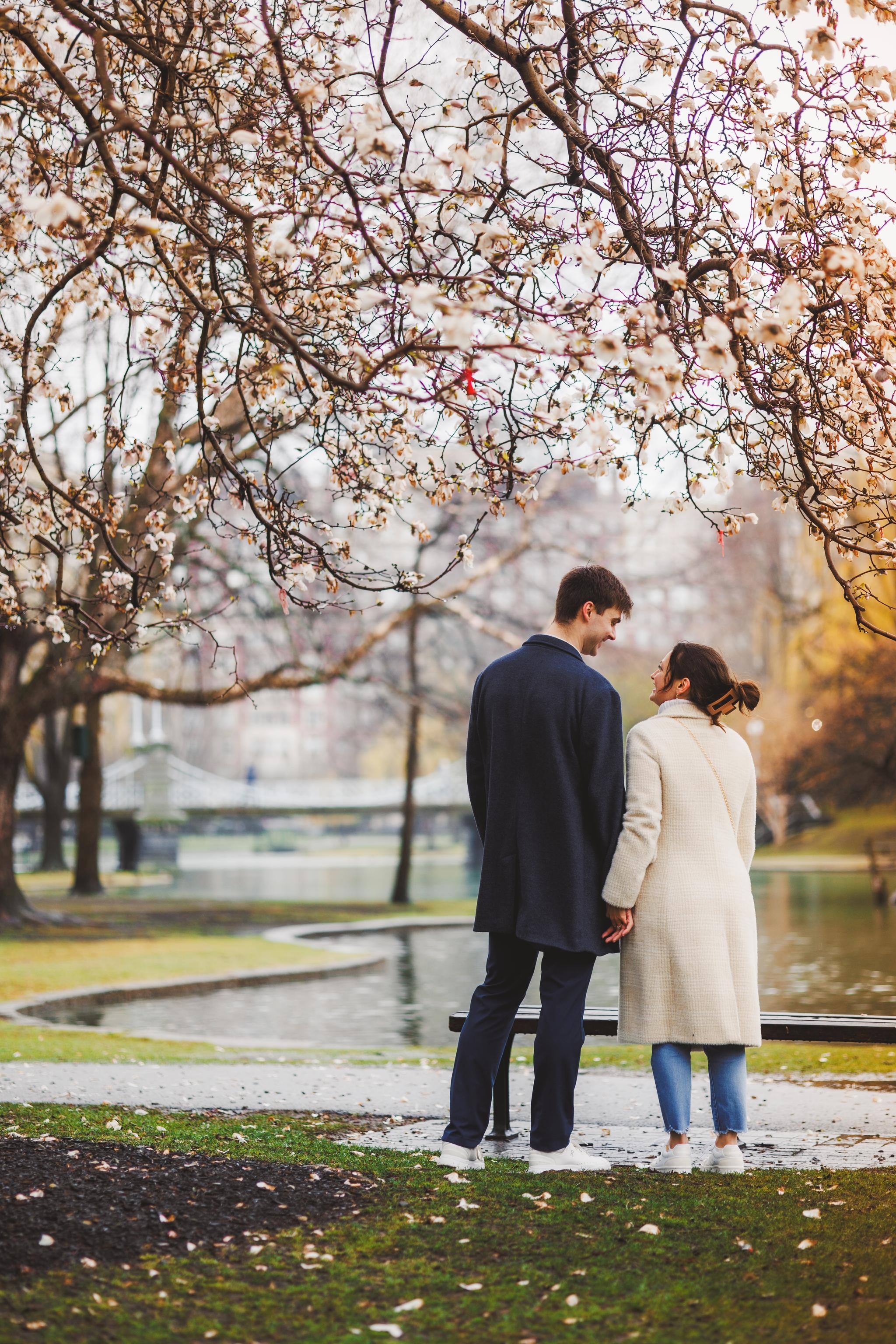 Maine Proposal Photography Planning